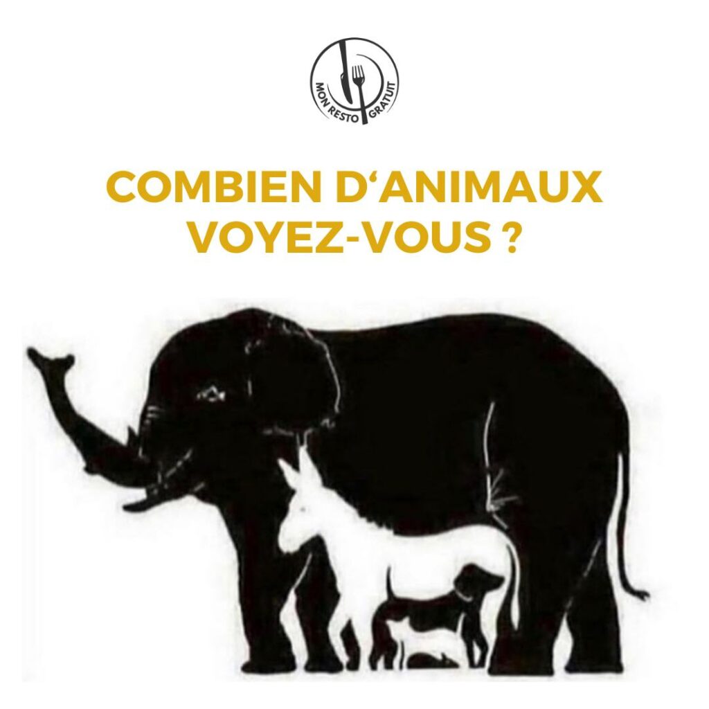 Combien d'animaux voyez-vous ?